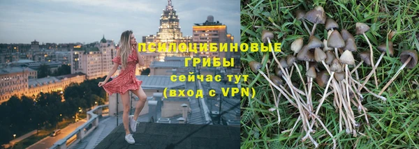 винт Аркадак
