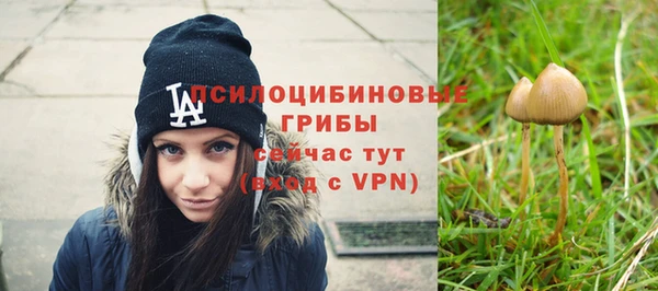 синтетический гашиш Арсеньев