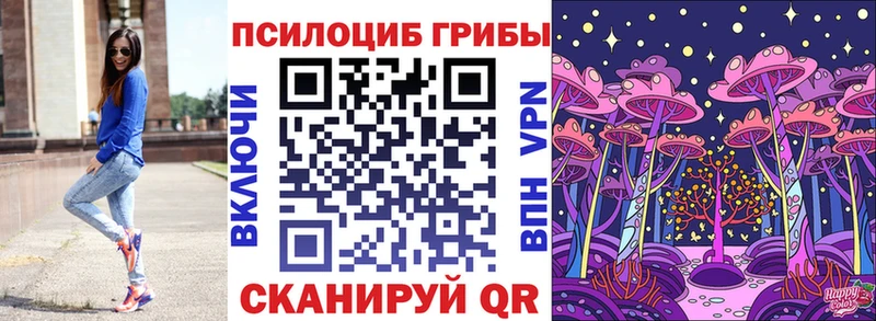 закладка  Усолье-Сибирское  Псилоцибиновые грибы GOLDEN TEACHER 